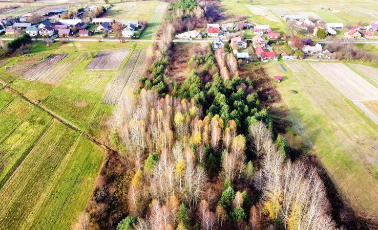 działka na sprzedaż - Biłgoraj (gw), Bukowa